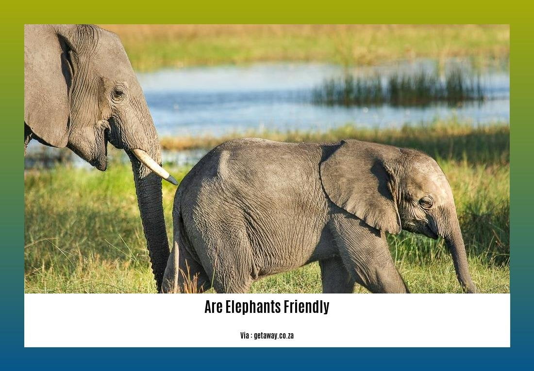 are elephants friendly