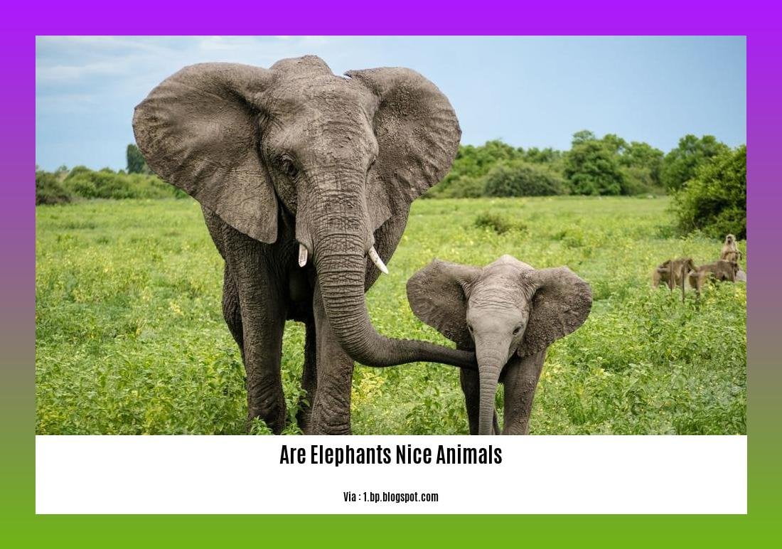 are elephants nice animals