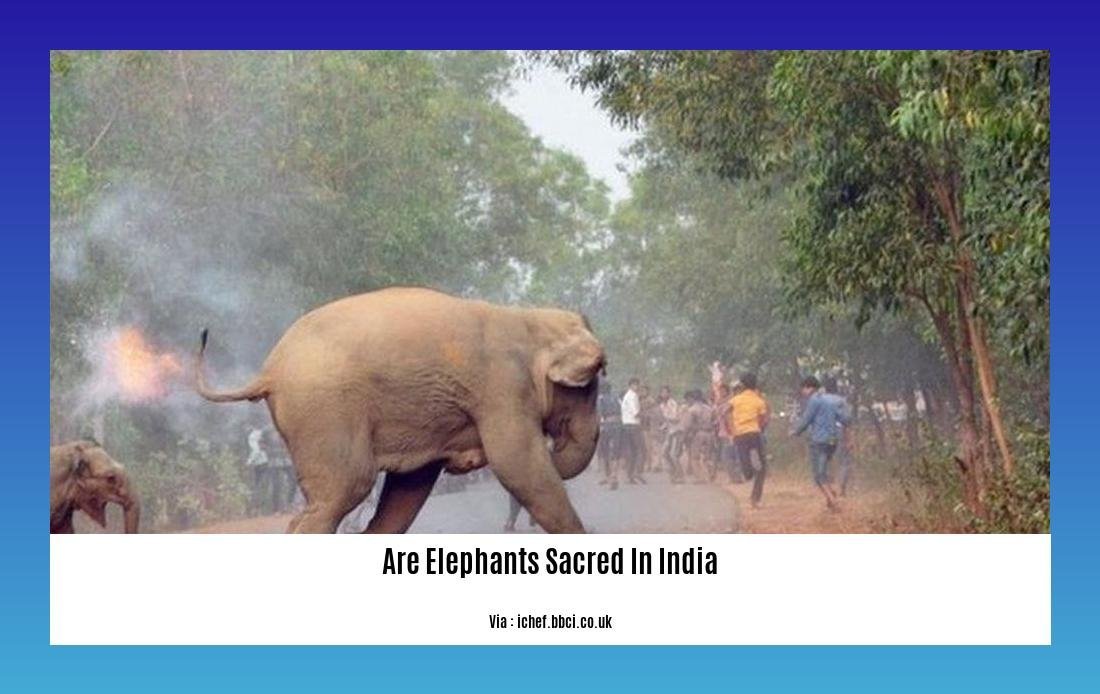 are elephants sacred in india