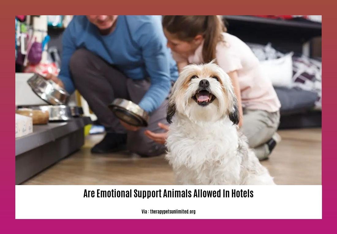 are emotional support animals allowed in hotels