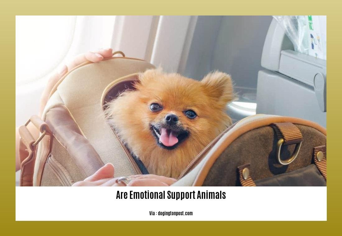 are emotional support animals