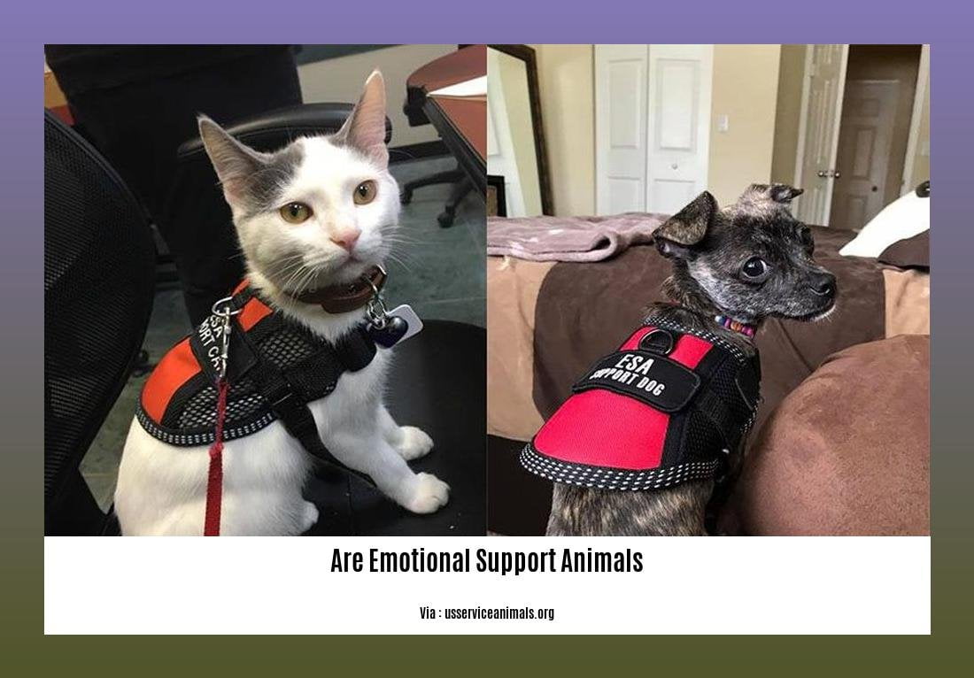are emotional support animals 2