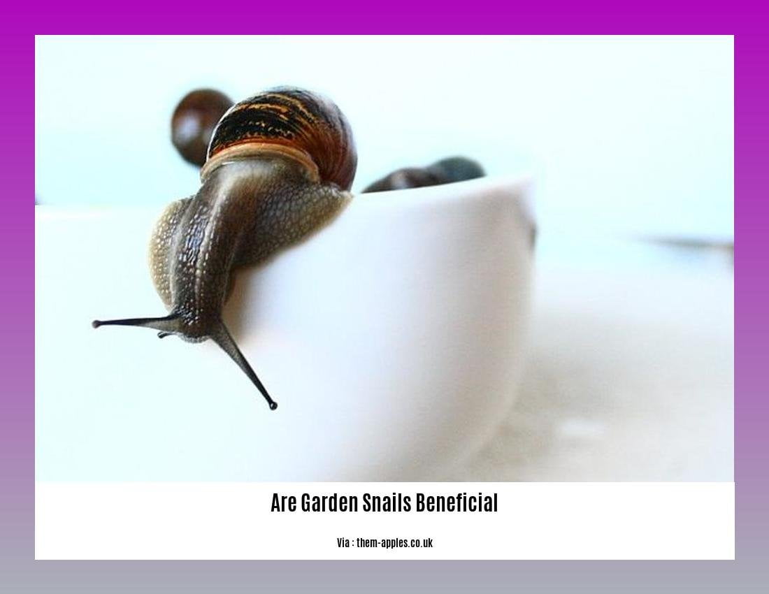 are garden snails beneficial