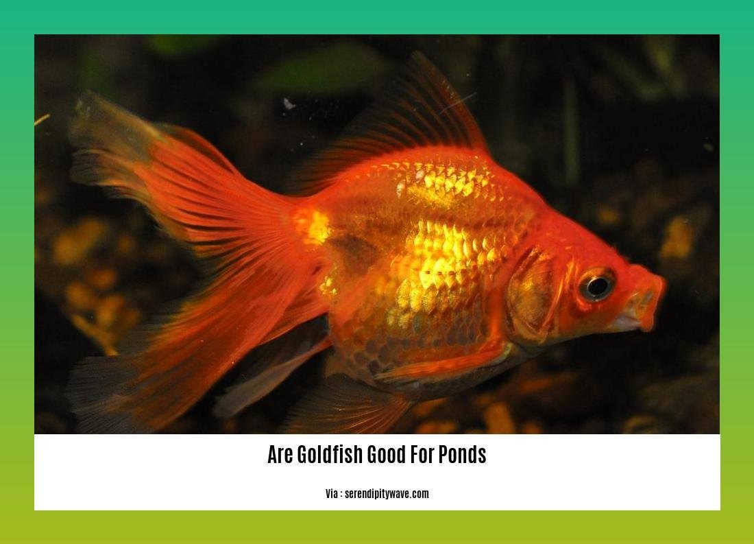 are goldfish good for ponds