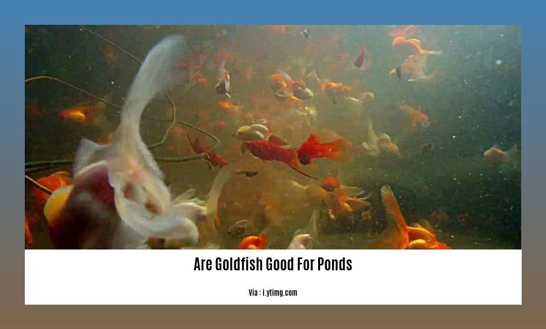 are goldfish good for ponds