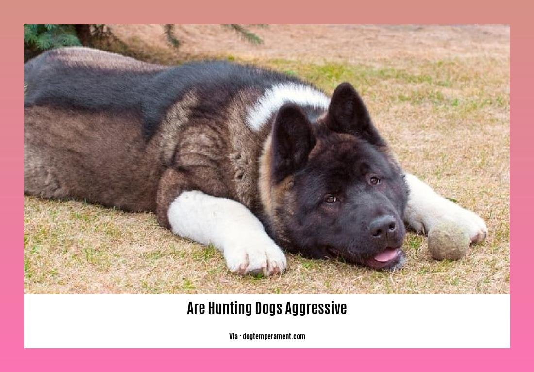are hunting dogs aggressive