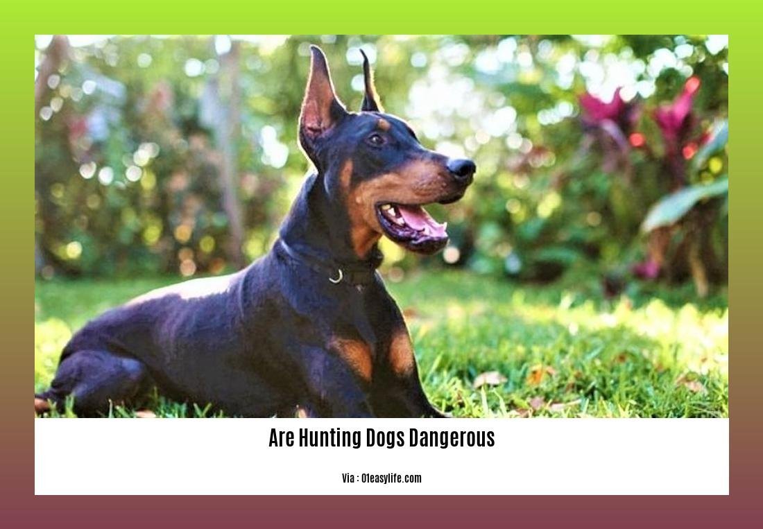 are hunting dogs dangerous