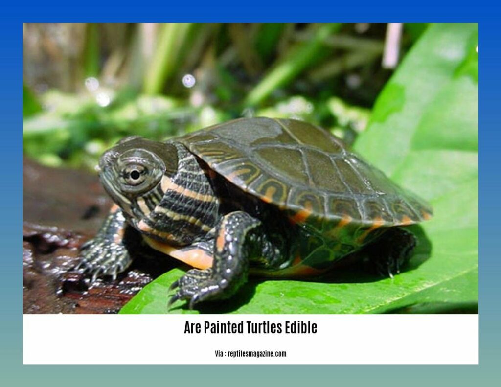 Are Painted Turtles Edible? Exploring the Edibility and Cultural Significance of Painted Turtles