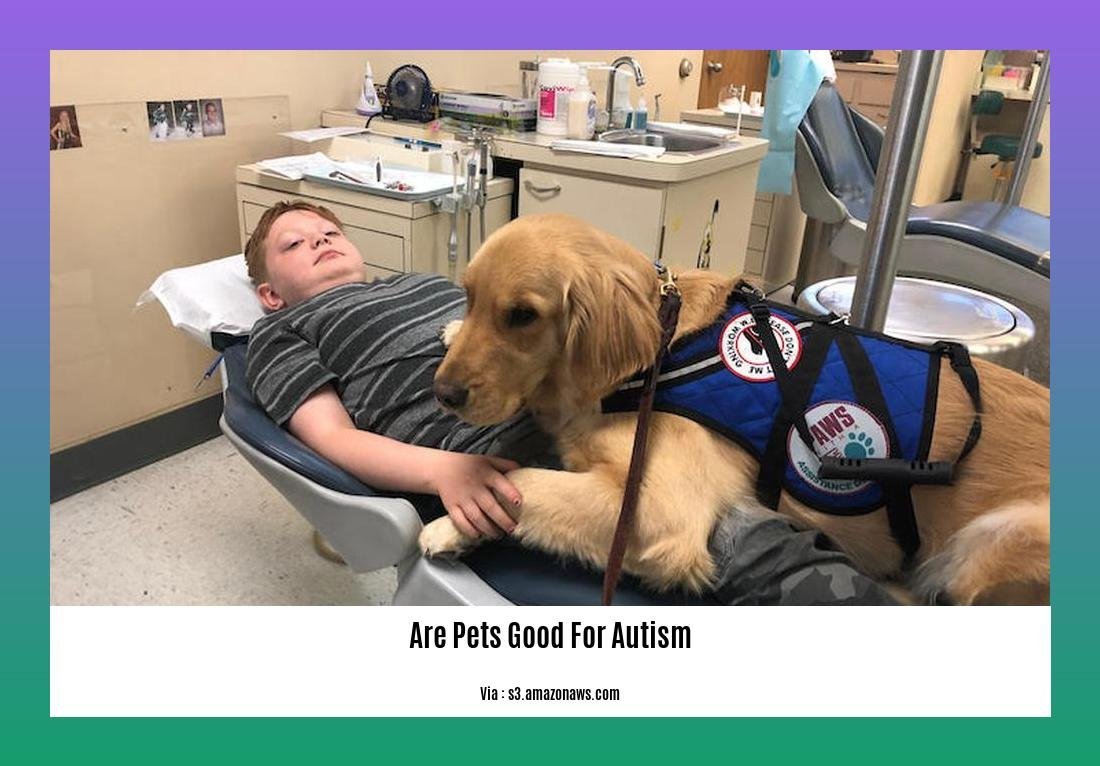 are pets good for autism