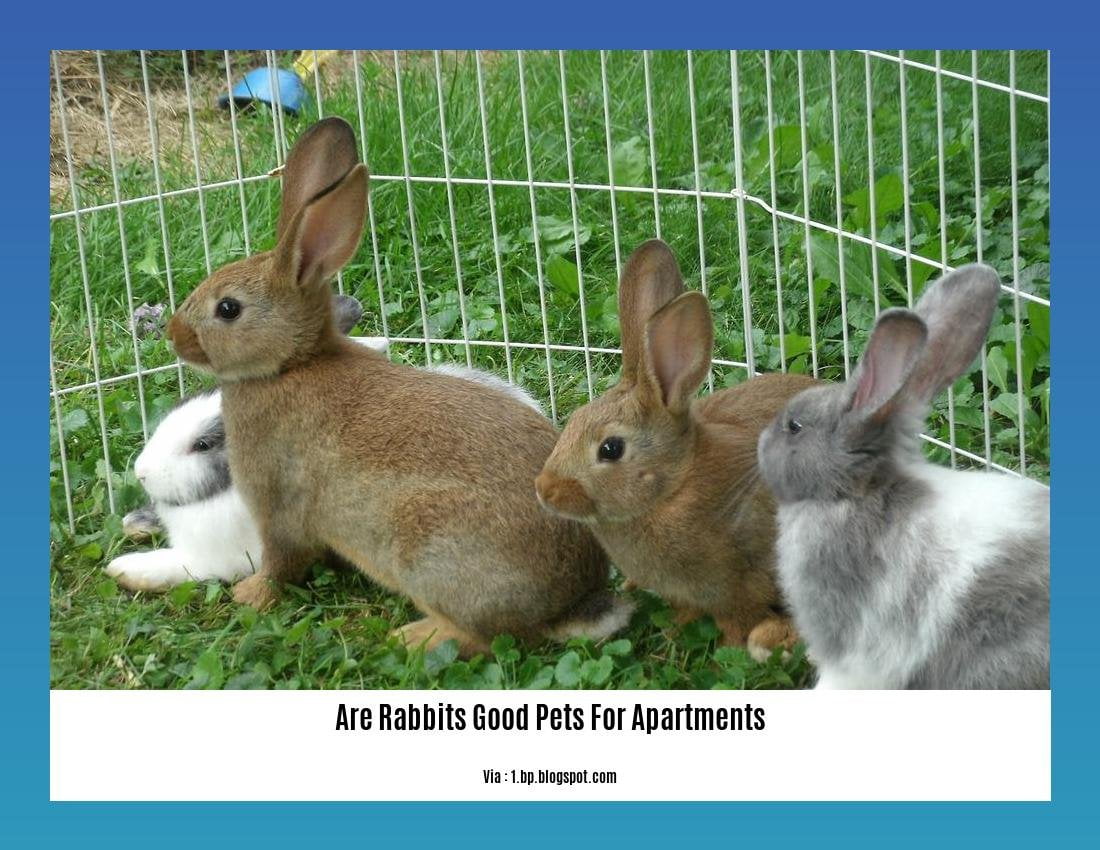 are rabbits good pets for apartments
