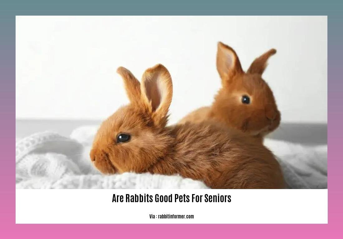 are rabbits good pets for seniors