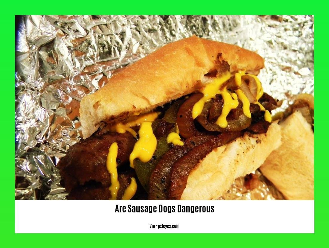 are sausage dogs dangerous