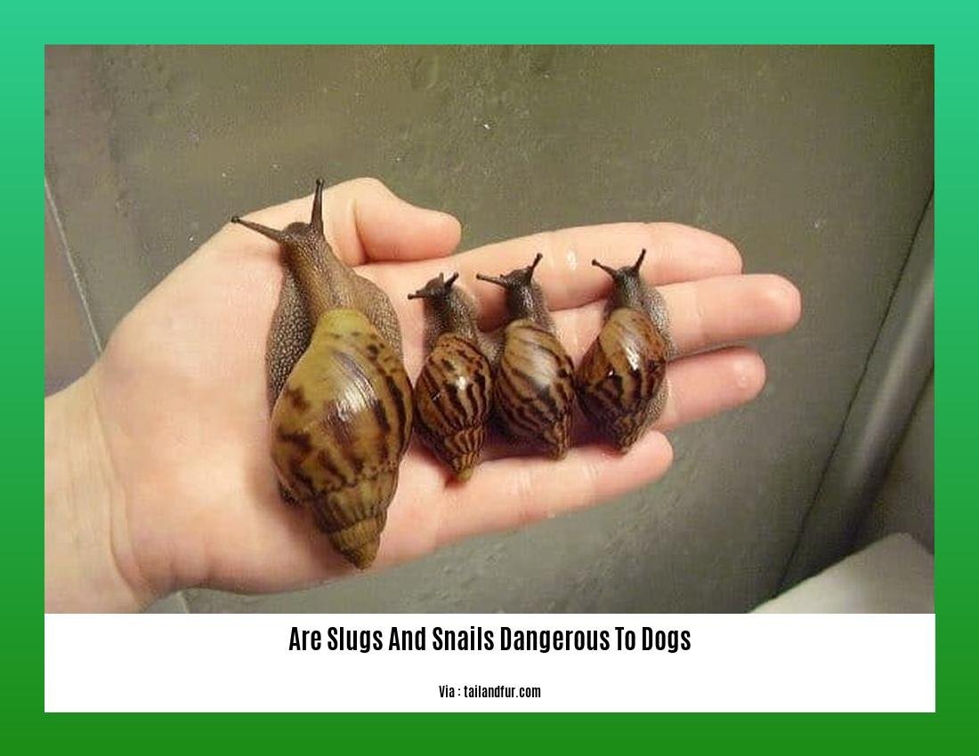are slugs and snails dangerous to dogs