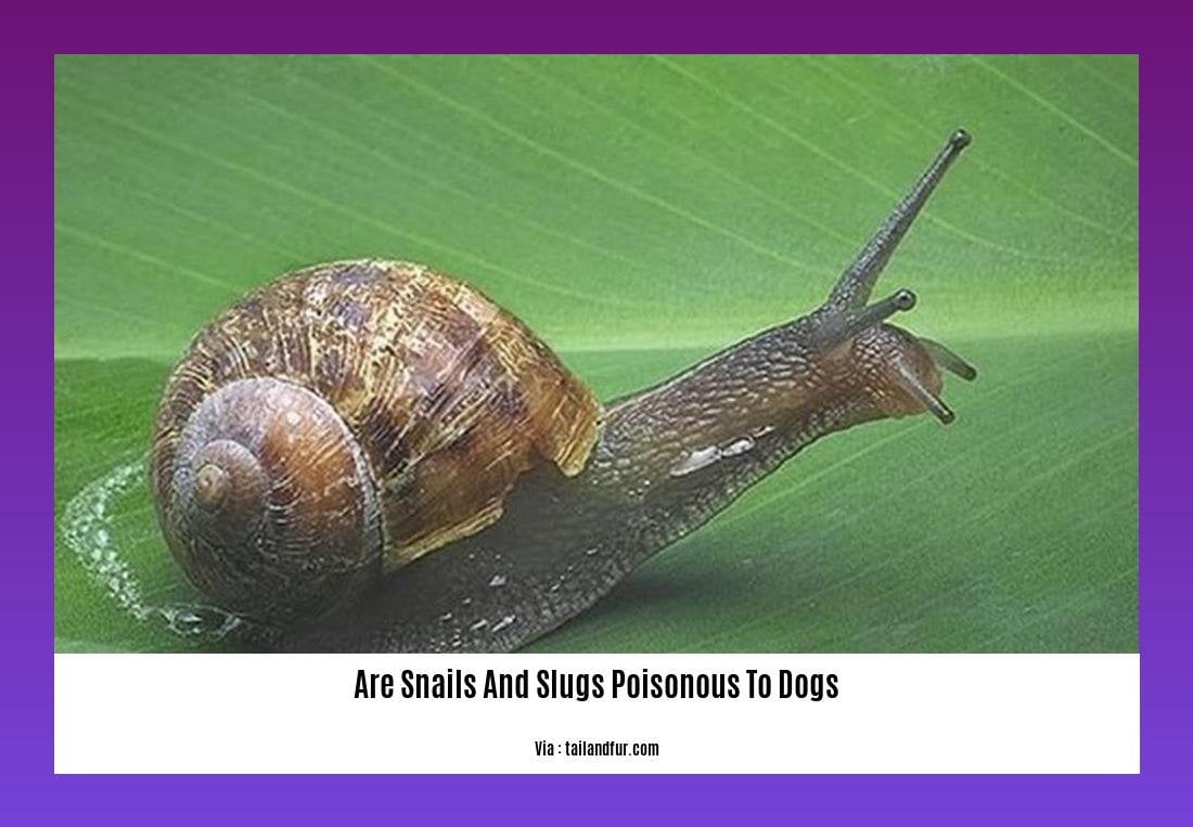 are snails and slugs poisonous to dogs