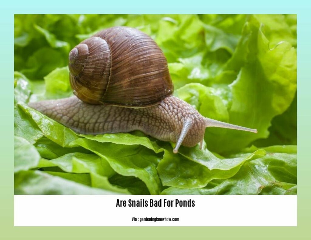Are Snails Bad for Ponds? Debunking Misconceptions and Unveiling their