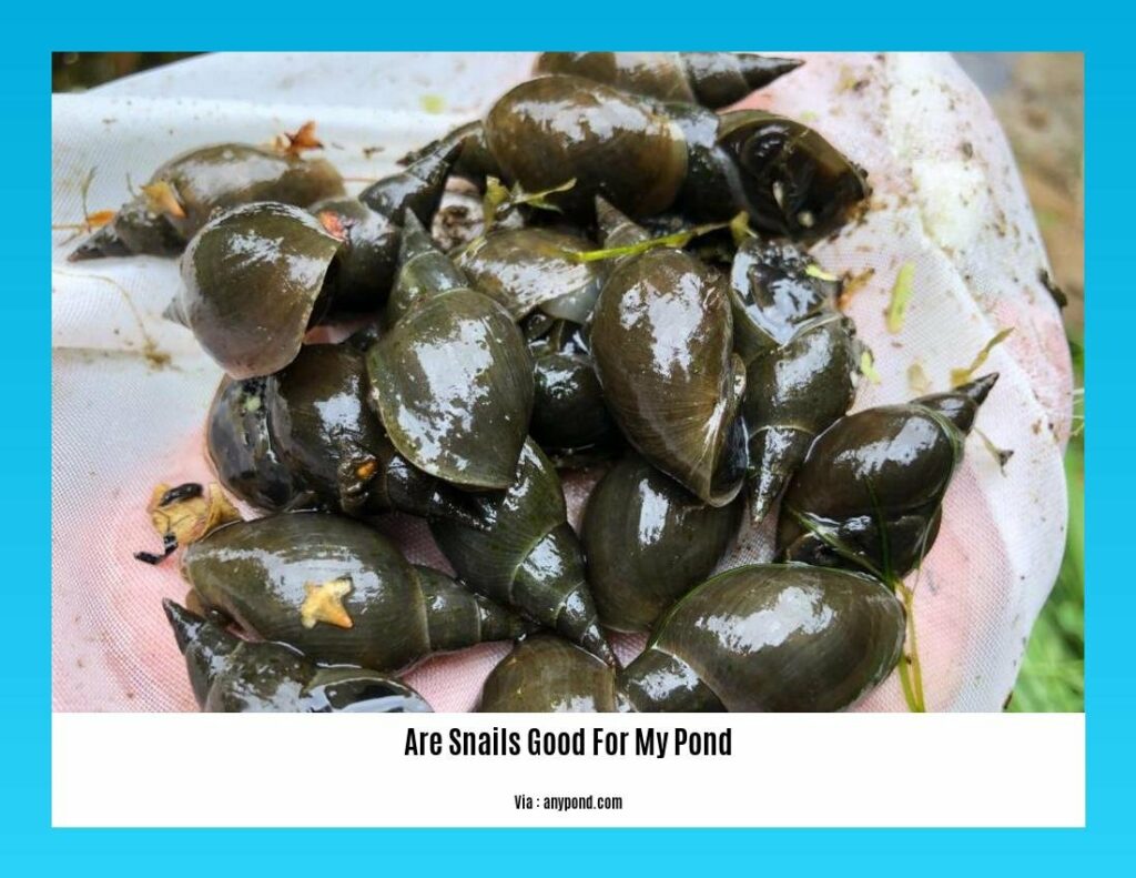 Exploring the Benefits of Snails in Your Pond Are Snails Good for My Pond?