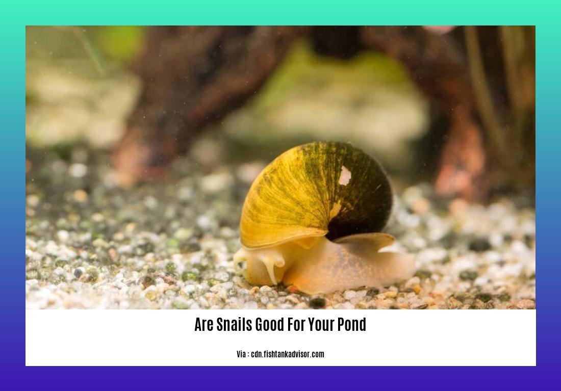 Are Snails Good for Your Pond? Exploring the Beneficial Role of Snails