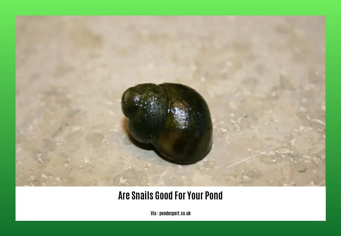 Are Snails Good for Your Pond? Exploring the Beneficial Role of Snails