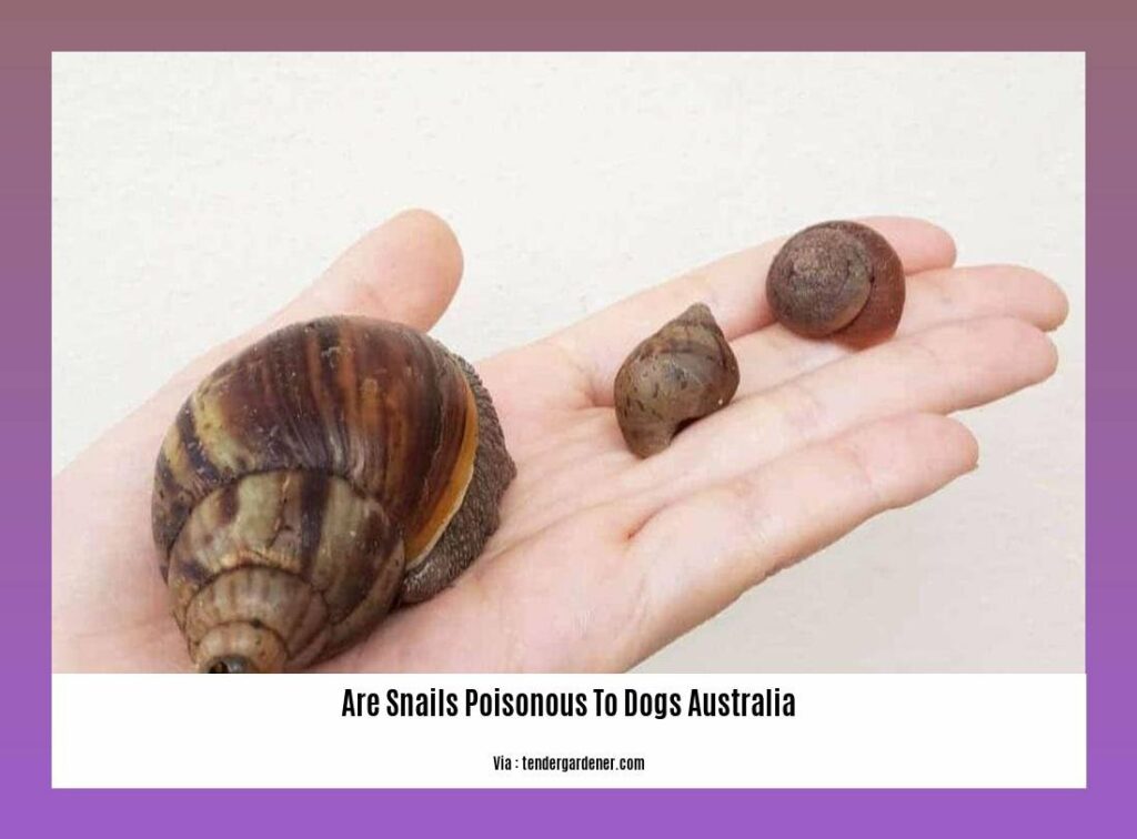 Are Snails Poisonous to Dogs in Australia? Exploring the Potential