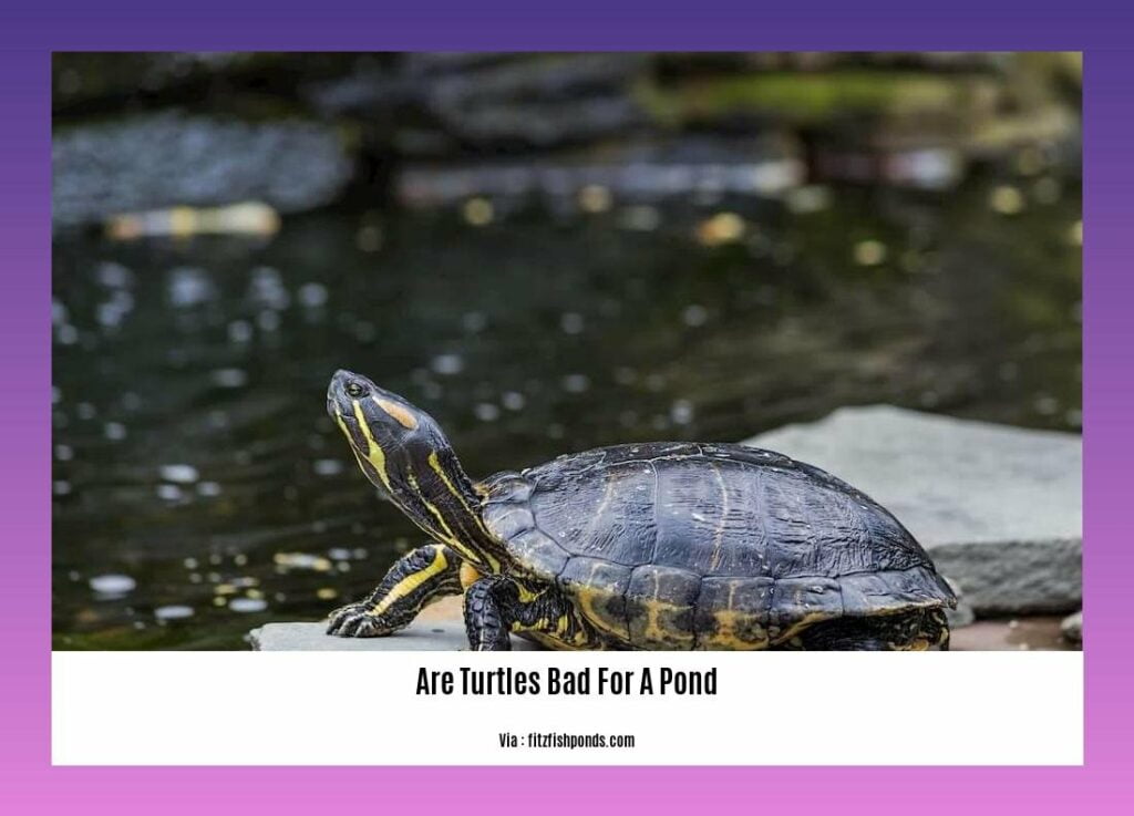 Are Turtles Bad for a Pond? Debunking Myths and Revealing the Facts