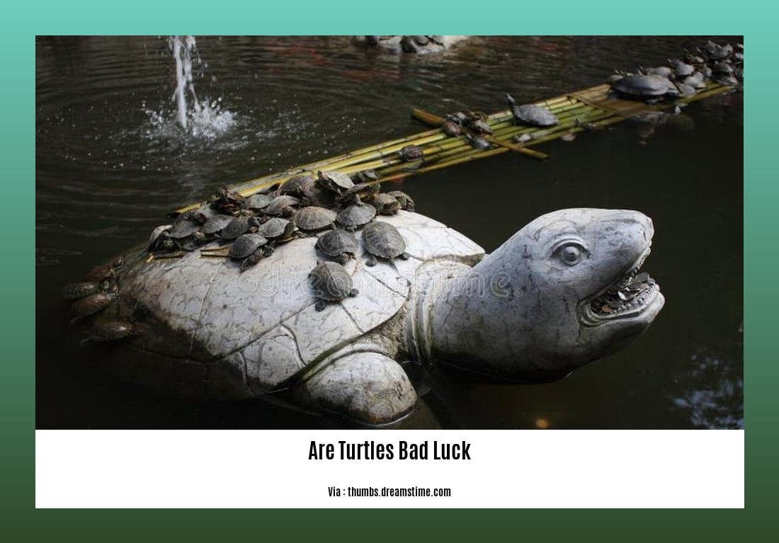 are turtles bad luck