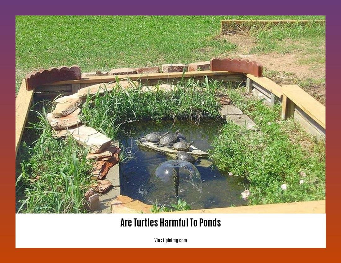 are turtles harmful to ponds