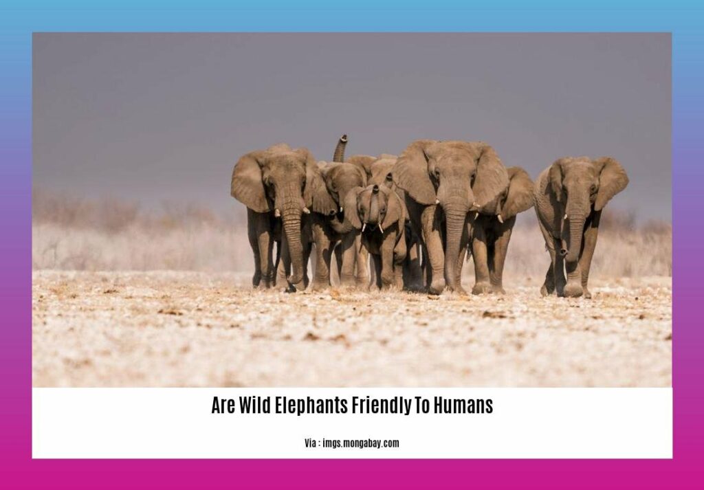 Are Wild Elephants Friendly to Humans? Understanding the Intricate