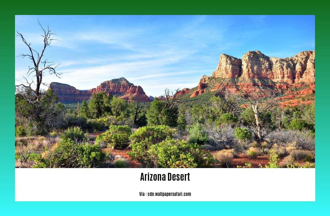 arizona desert facts