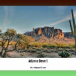 arizona-desert-facts_2