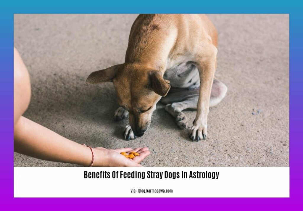 The Transformative Benefits of Feeding Stray Dogs in Astrology