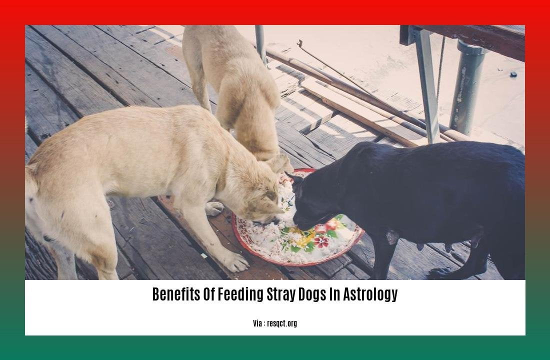 benefits of feeding stray dogs in astrology