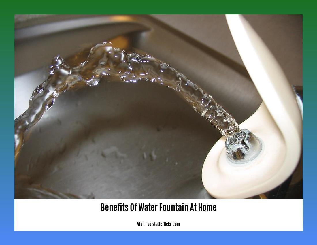 benefits of water fountain at home