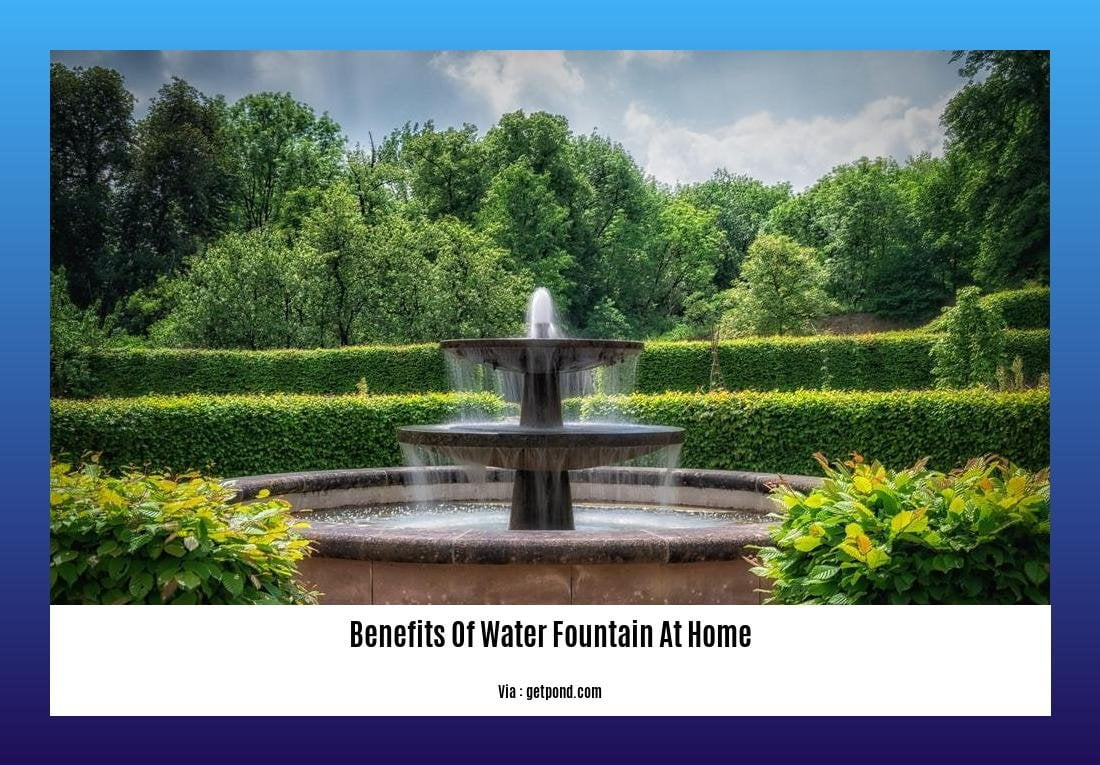 benefits of water fountain at home