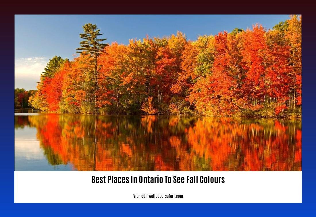 best places in ontario to see fall colours