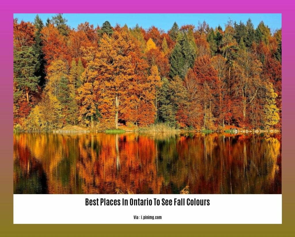 Discover the Best Places in Ontario to See Fall Colours: A Nature ...