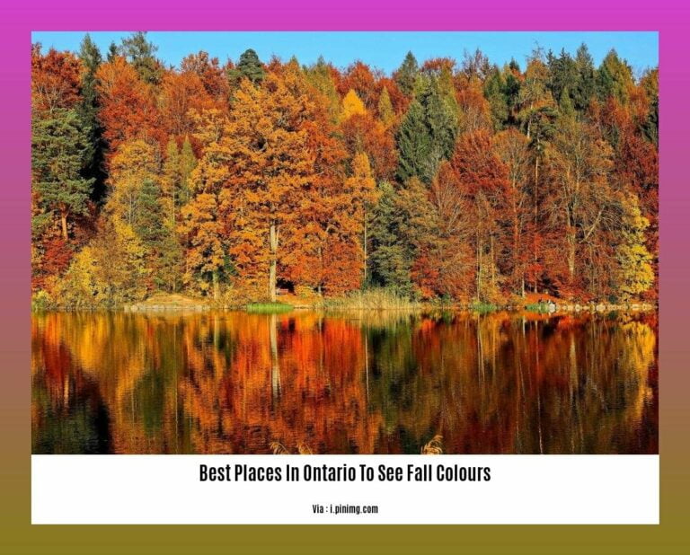 Discover the Best Places in Ontario to See Fall Colours: A Nature ...