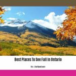 best-places-to-see-fall-in-ontario_2