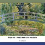 bridge-over-a-pond-of-water-lilies-description_2