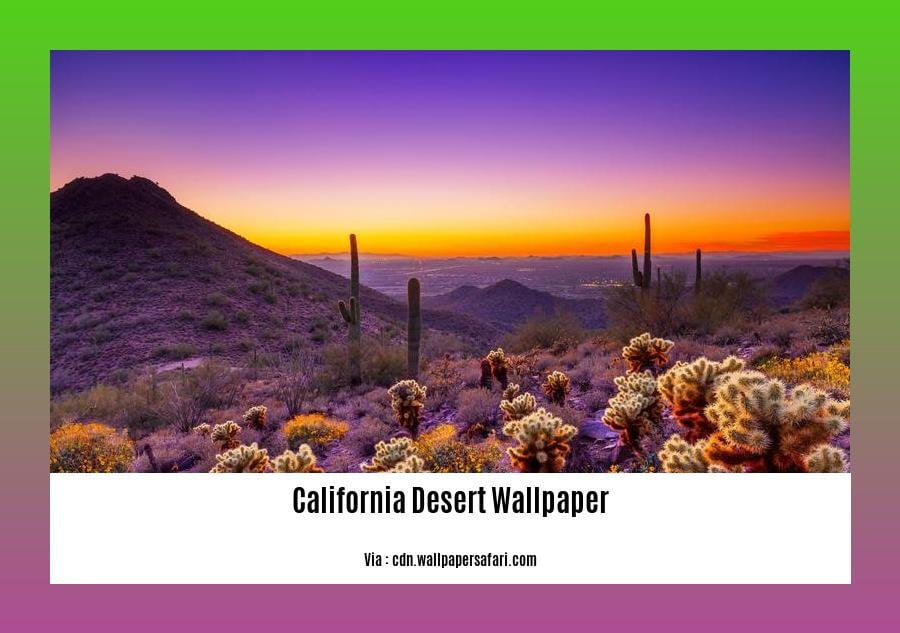 california desert region interesting facts