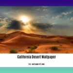 california-desert-region-interesting-facts_2