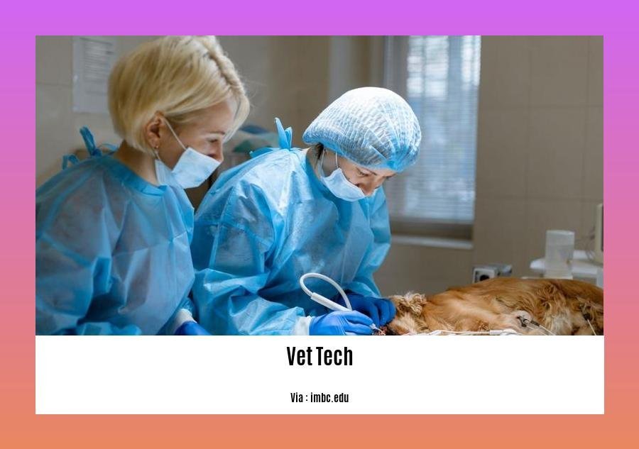can a vet tech become a vet