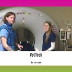 can-a-vet-tech-become-a-vet_2