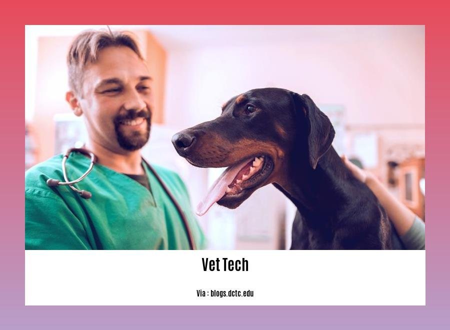 can a vet tech become a vet