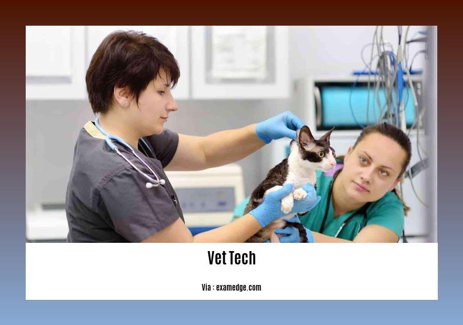 can a vet tech become a veterinarian