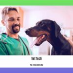 can-a-vet-tech-become-a-veterinarian_2