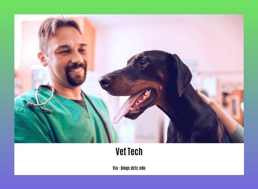 can a vet tech become a veterinarian 2