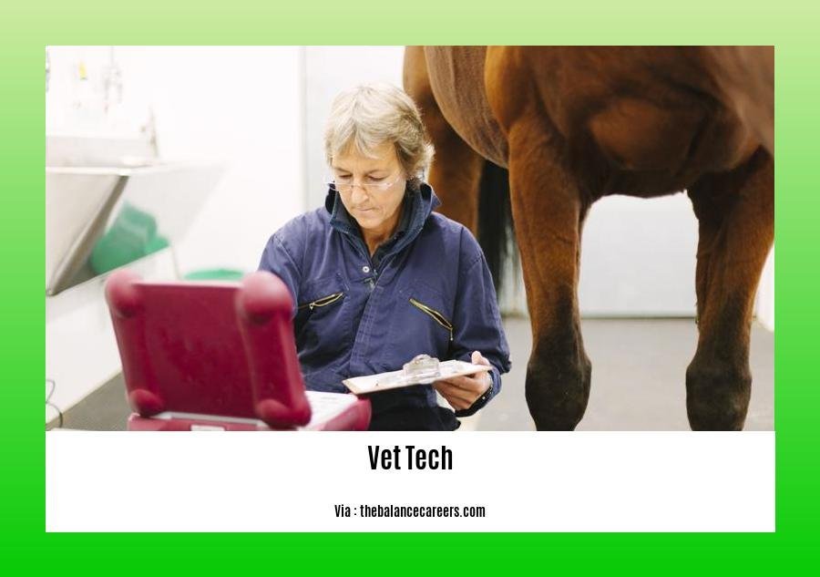 can a vet tech become a veterinarian