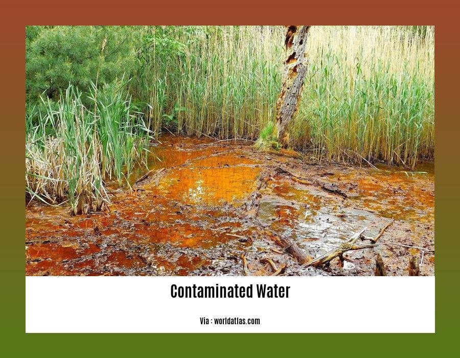 can contaminated water kill you