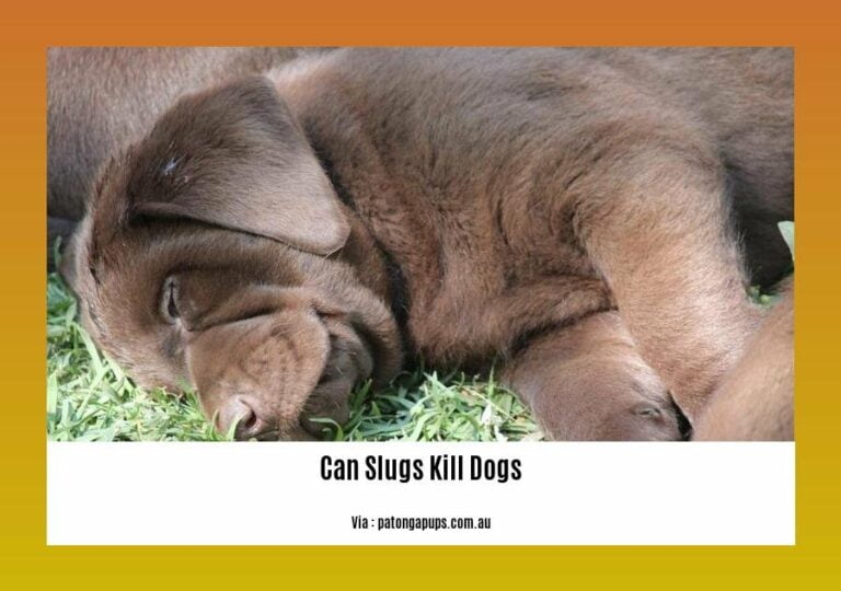 Can Slugs Kill Dogs? Understanding the Potential Dangers and How to