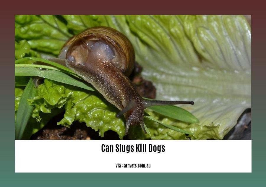 can slugs kill dogs